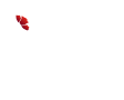 logo salon de the