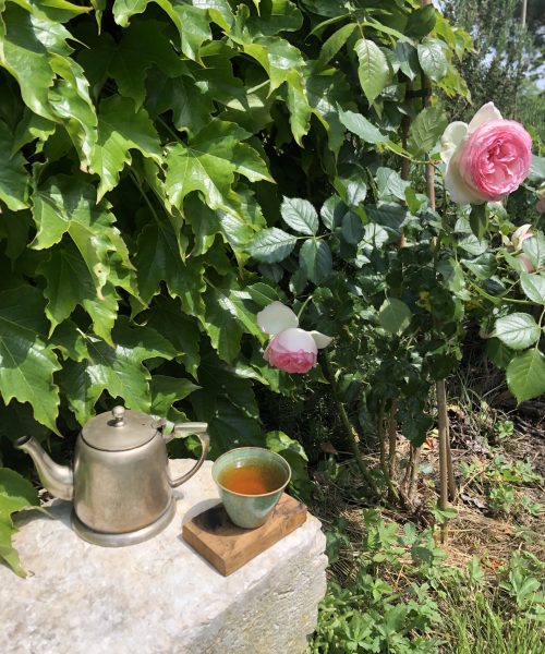 Jardin rose