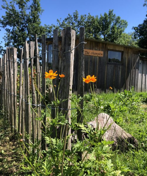 Cabane